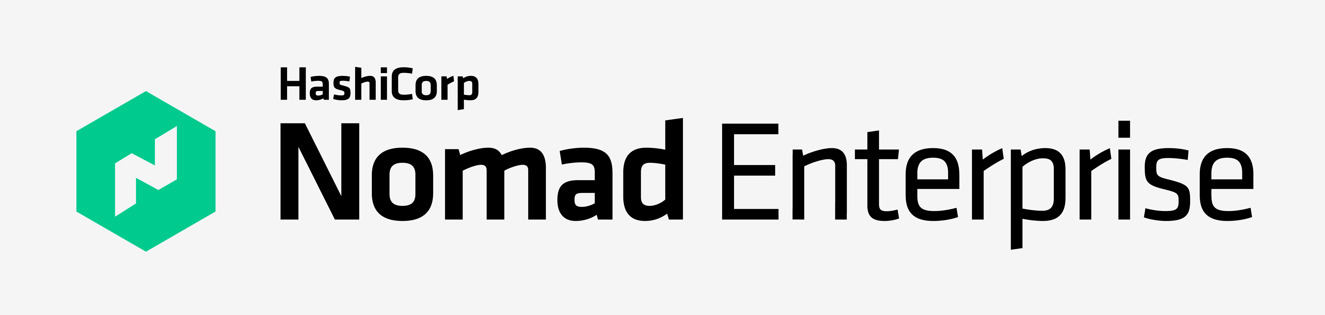 Nomad Enterprise Logo Color RGB